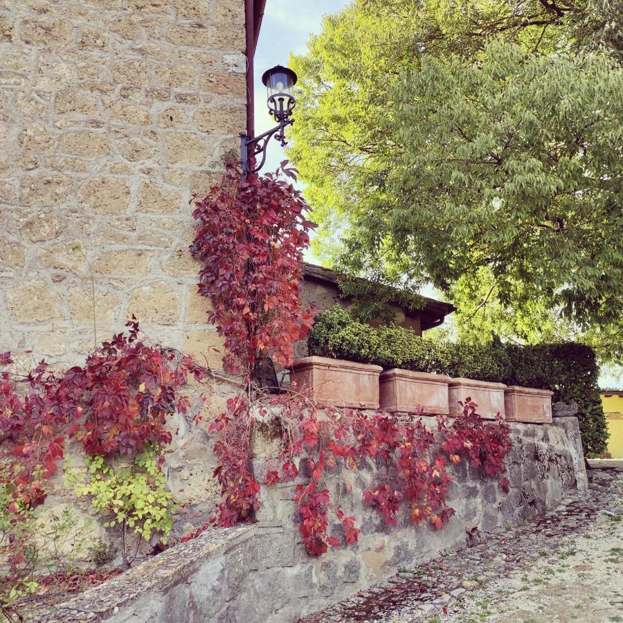 La Locanda Della Chiocciola Орте Екстериор снимка