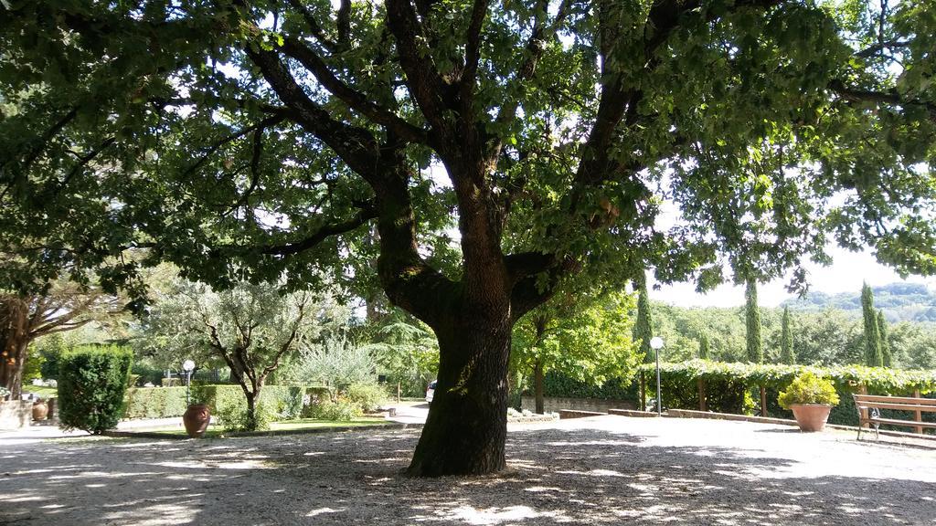 La Locanda Della Chiocciola Орте Екстериор снимка